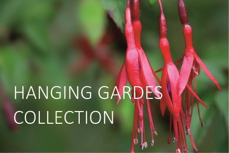 Hanging Gardens Collection