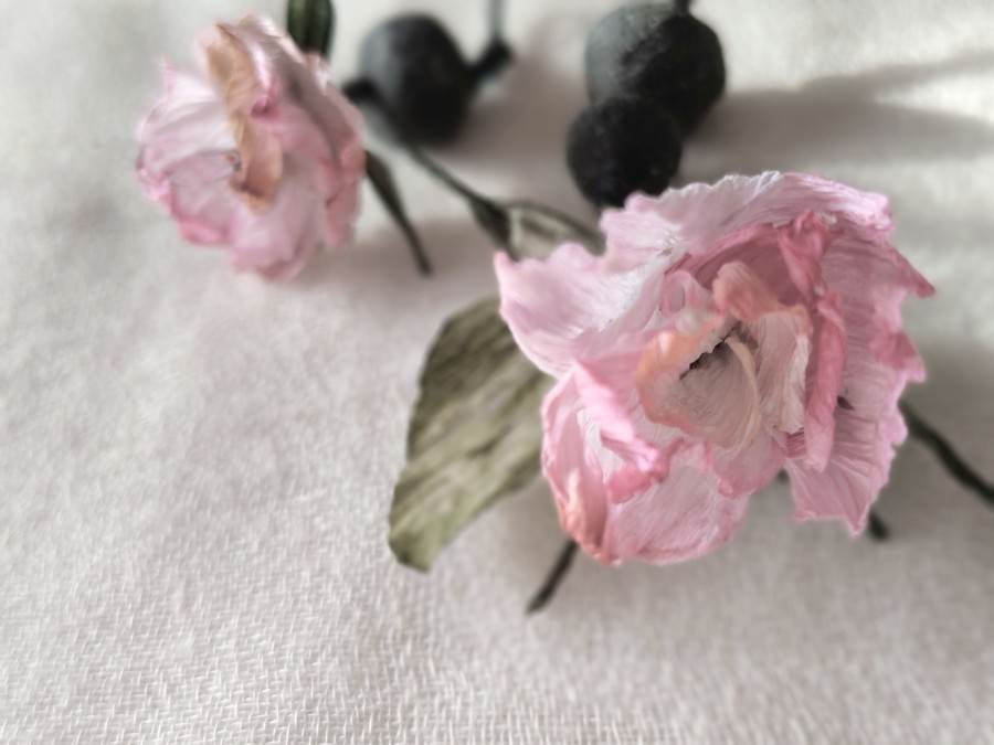 image02