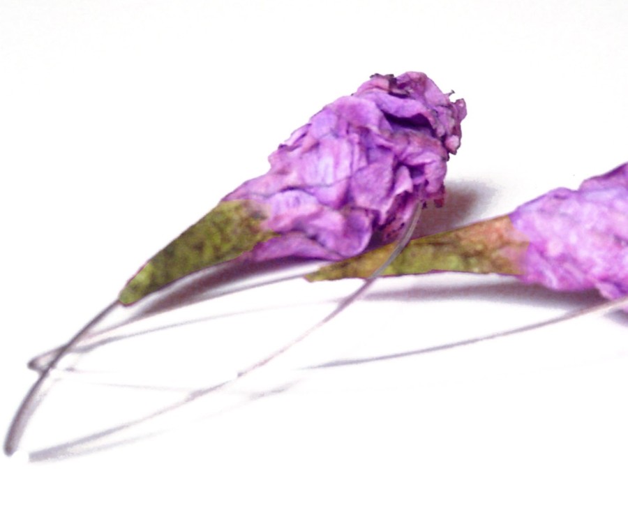image02