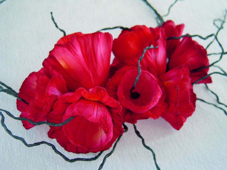 image02