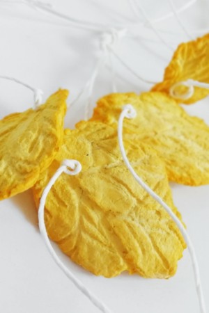 Earrings model White Birch