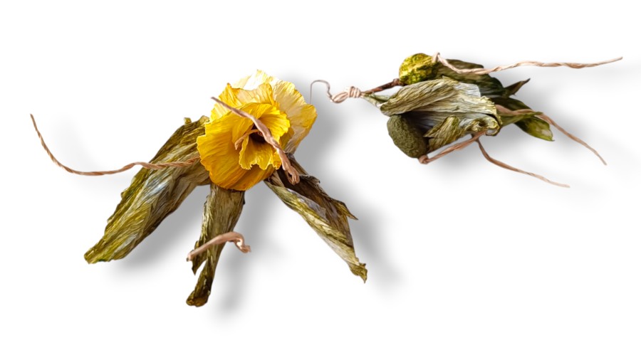image02