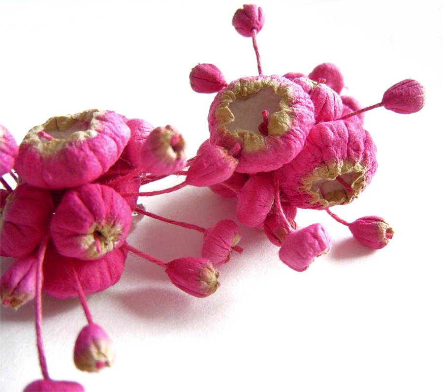 image02